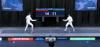 Fencing